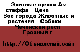 Элитные щенки Ам.стаффа › Цена ­ 25 000 - Все города Животные и растения » Собаки   . Чеченская респ.,Грозный г.